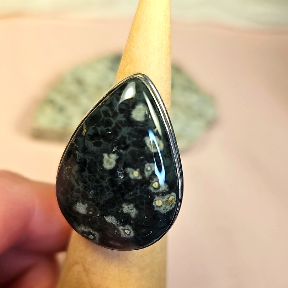 Ocean Jasper Silver 925 Ring